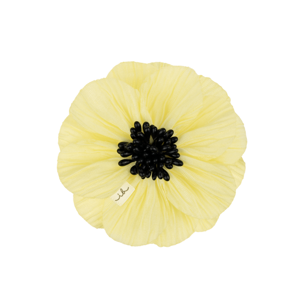 CLIPSTAR PREMIUM Bloom Citrus