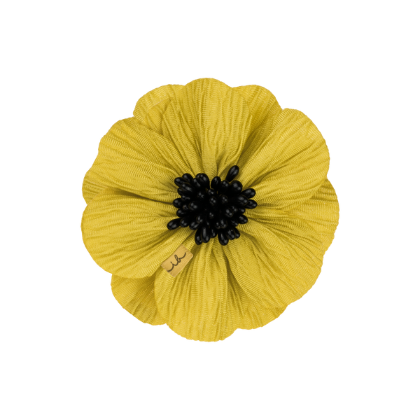 CLIPSTAR PREMIUM Bloom Honey
